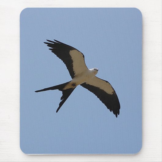 Swallow Tail Kite Muismat (Voorkant)