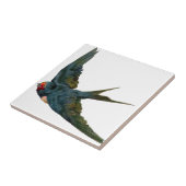 Swallow Tegeltje (Zijkant)