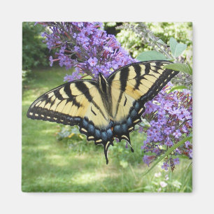 Swallowtail 94 ~ magnet magneet