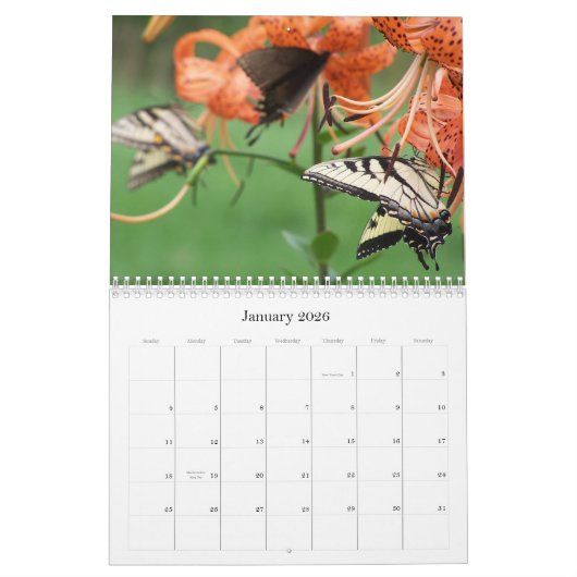 Swallowtail Butterflies, agenda 2009 Kalender (Jan 2026)