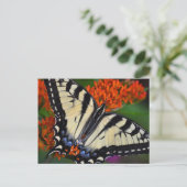 Swallowtail Butterfly Briefkaart (Staand voorkant)