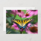 Swallowtail Butterfly Briefkaart (Voorkant / Achterkant)