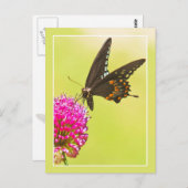 Swallowtail Butterfly Briefkaart (Voorkant / Achterkant)