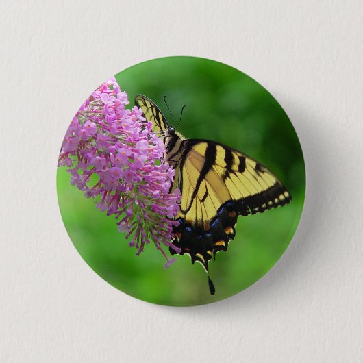 Swallowtail Butterfly Button 3 (Voorkant)