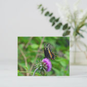 Swallowtail Butterfly en Thistle Briefkaart (Staand voorkant)