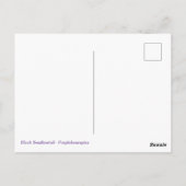 Swallowtail Butterfly en Thistle Briefkaart (Achterkant)