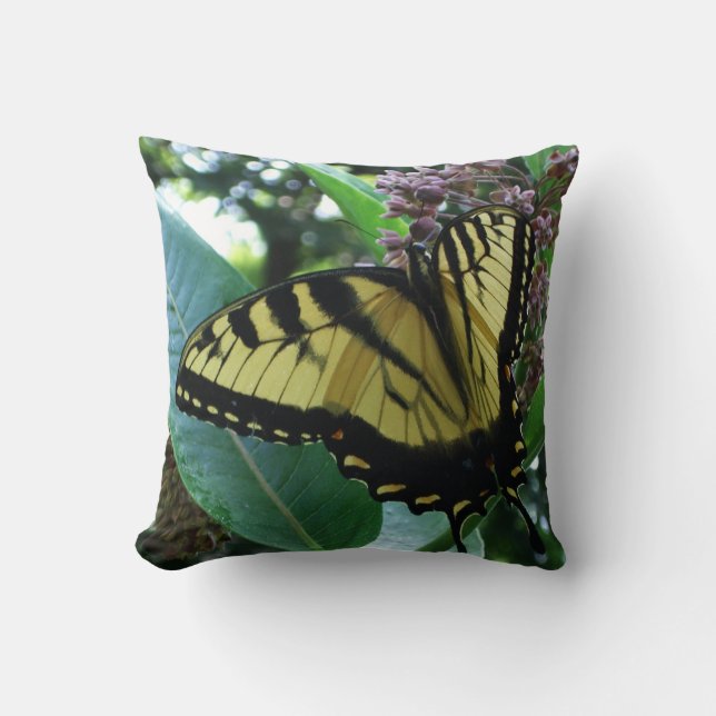 Swallowtail Butterfly I op Milkweed bij Shenandoah Kussen (Voorkant)