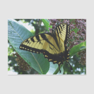 Swallowtail Butterfly I op Milkweed bij Shenandoah Tissuepapier