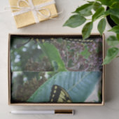 Swallowtail Butterfly I op Milkweed bij Shenandoah Tissuepapier (Geschenk)