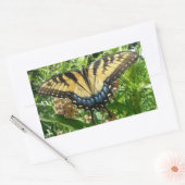 Swallowtail Butterfly II bij Shenandoah Rechthoekige Sticker (Envelop)