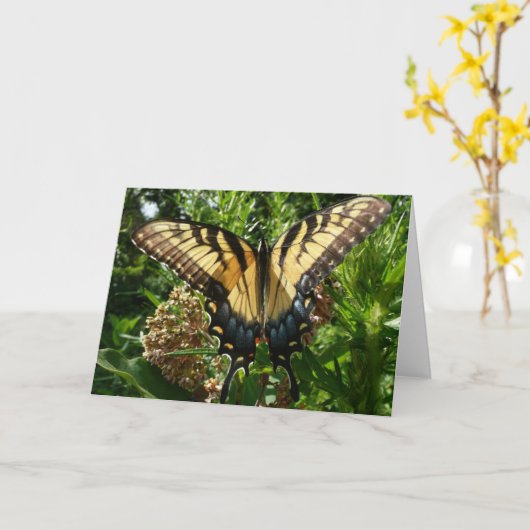 Swallowtail Butterfly III Mooie, kleurrijke foto Kaart (Gele Bloem)