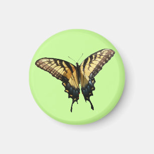 Swallowtail Butterfly III Mooie, kleurrijke foto Magneet