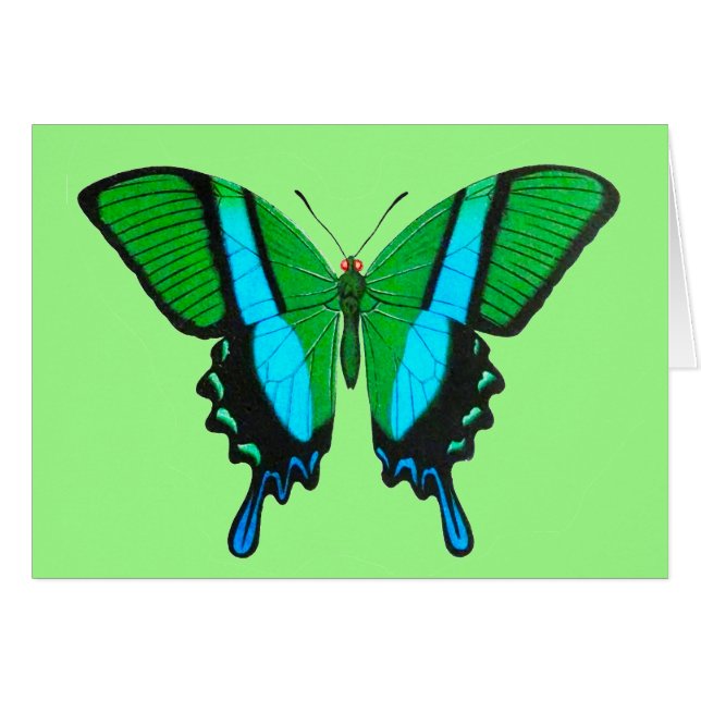 Swallowtail Butterfly in Green, Turquoise & Black (Voorkant Horizontaal)