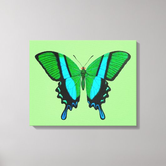 Swallowtail Butterfly in Green, Turquoise & Black Canvas Afdruk (Voorkant)