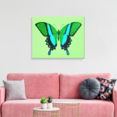 Swallowtail Butterfly in Green, Turquoise & Black Canvas Afdruk (Insitu (Woonkamer))