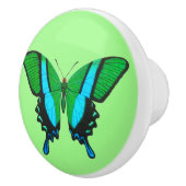 Swallowtail Butterfly in Green, Turquoise & Black Keramische Knop (Rechts)