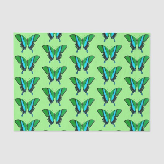 Swallowtail Butterfly in Green, Turquoise & Black Tissuepapier (Voorkant)