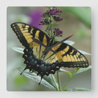 Swallowtail Butterfly-klok Vierkante Klok