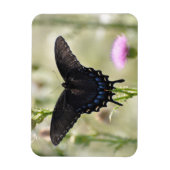 Swallowtail Butterfly Magneet (Verticaal)