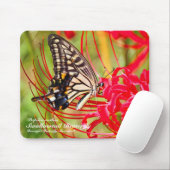Swallowtail Butterfly Muismat (Met muis)