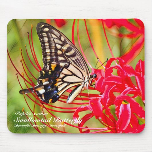 Swallowtail Butterfly Muismat (Voorkant)