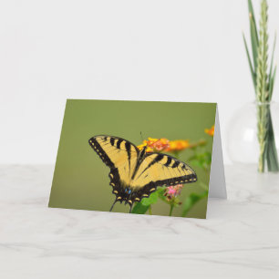 Swallowtail Butterfly Notecard Kaart