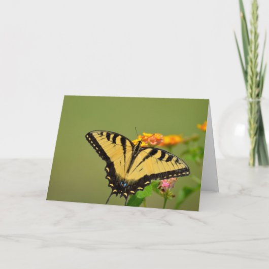 Swallowtail Butterfly Notecard Kaart (Voorkant)