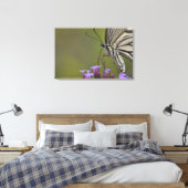 Swallowtail Butterfly on flower, Chiba Canvas Afdruk (Insitu (Slaapkamer))