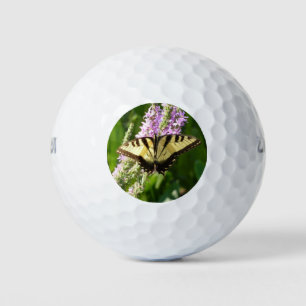 Swallowtail Butterfly op Paarse wilde bloemen Golfballen