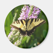 Swallowtail Butterfly op Paarse wilde bloemen Magneet (Voorkant)