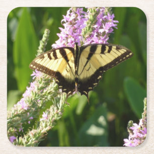 Swallowtail Butterfly op Paarse wilde bloemen Vierkante Kartonnen Onderzetter