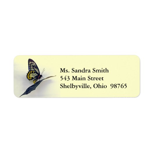 Swallowtail Butterfly Return Address Labels (Voorkant)