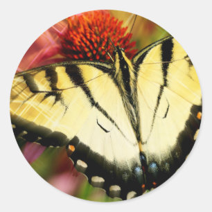 Swallowtail Butterfly Ronde Sticker