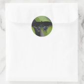 Swallowtail Butterfly Sticker (Tas)