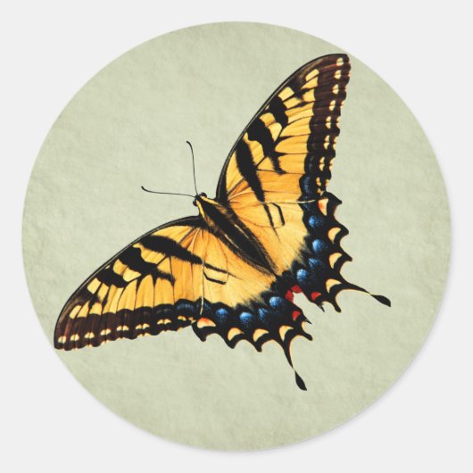 Swallowtail Butterfly Sticker (Voorkant)