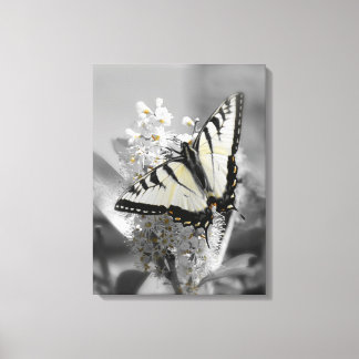 Swallowtail Butterfly Stretched Canvas Print