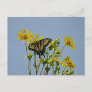 Swallowtail Butterfly tegen een mooie blauwe hemel Briefkaart