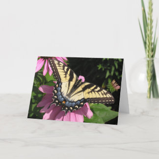 Swallowtail op Echinacea Kaart