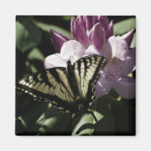 Swallowtail & Rhododendron Magnet Magneet