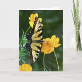 Swallowtail vlinder op gele kosmos bloem kaart (Voorkant)