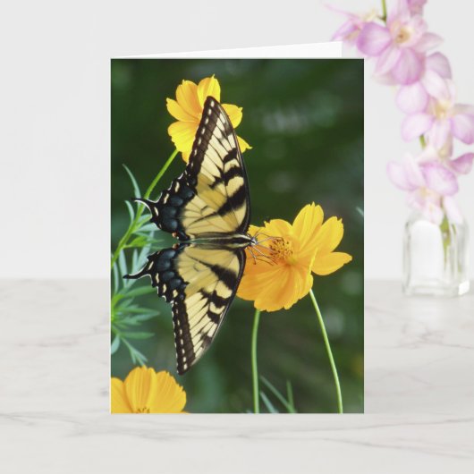 Swallowtail vlinder op gele kosmos bloem kaart (Orchidee)