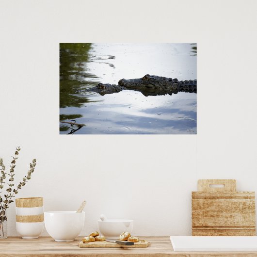 Swamp Lovin Poster (Keuken)