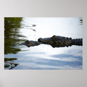 Swamp Lovin Poster