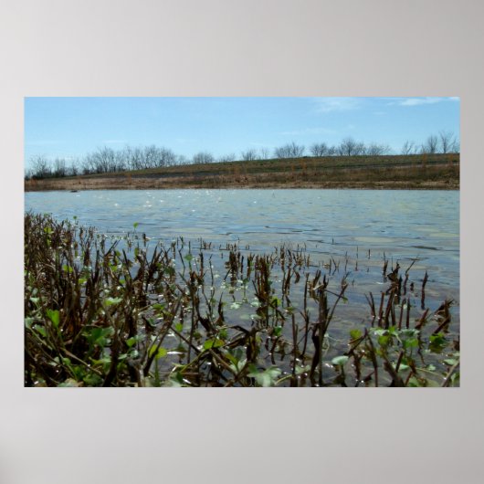 Swampy Scape Poster (Voorkant)