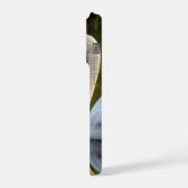 swan (Côté gauche)