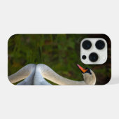 swan (Verso Horizontal)