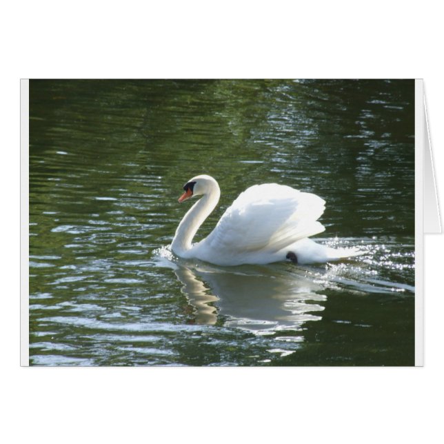 Swan (Devant horizontal)