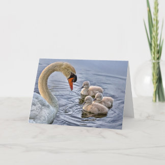 Swan & Babies Wenskaart Kaart