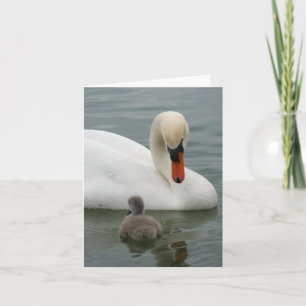 Swan Baby Faire-part