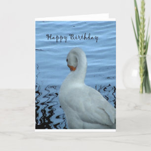 Swan Birthday-kaart Kaart